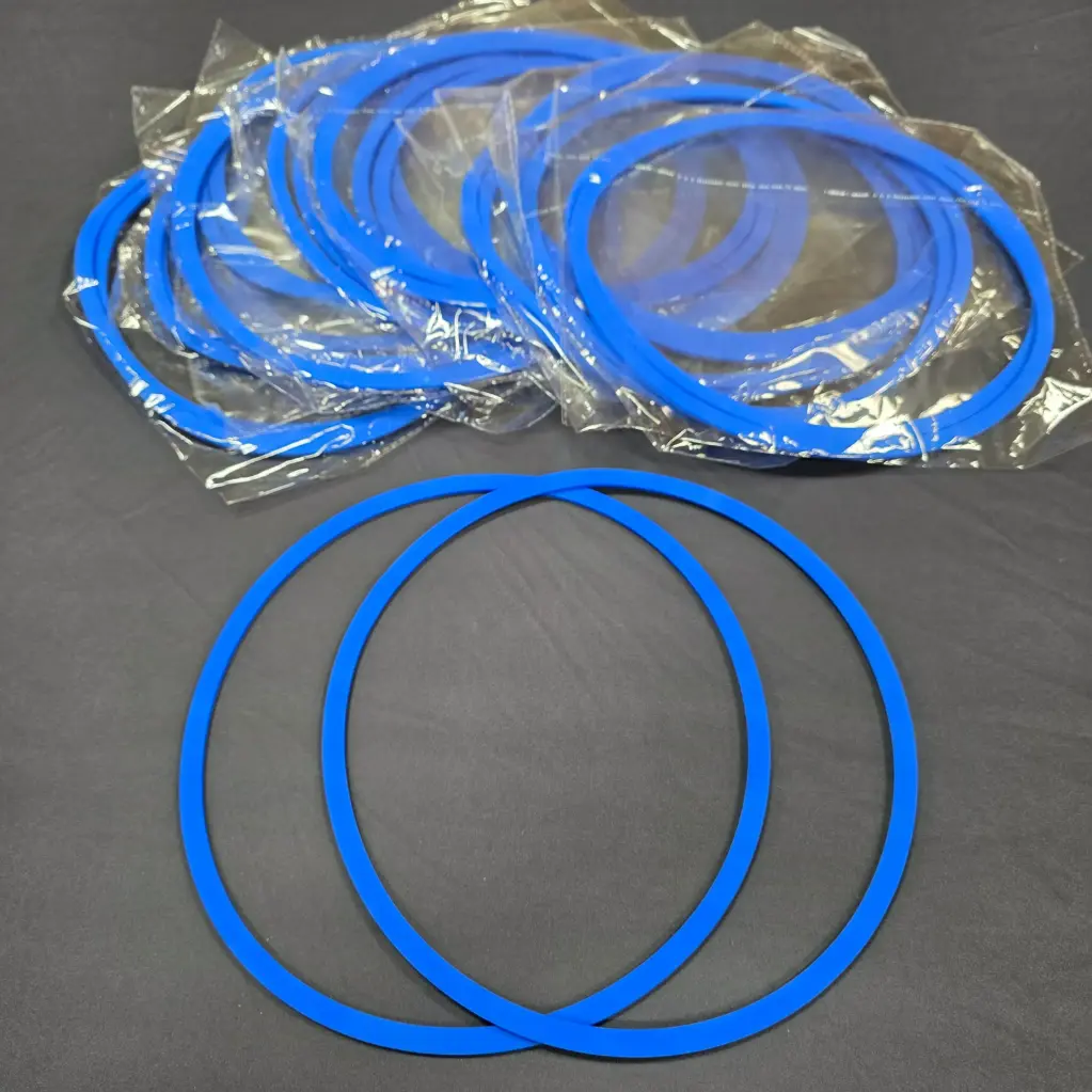 Silicone Gasket Ring – 10 in (2-Pack)
